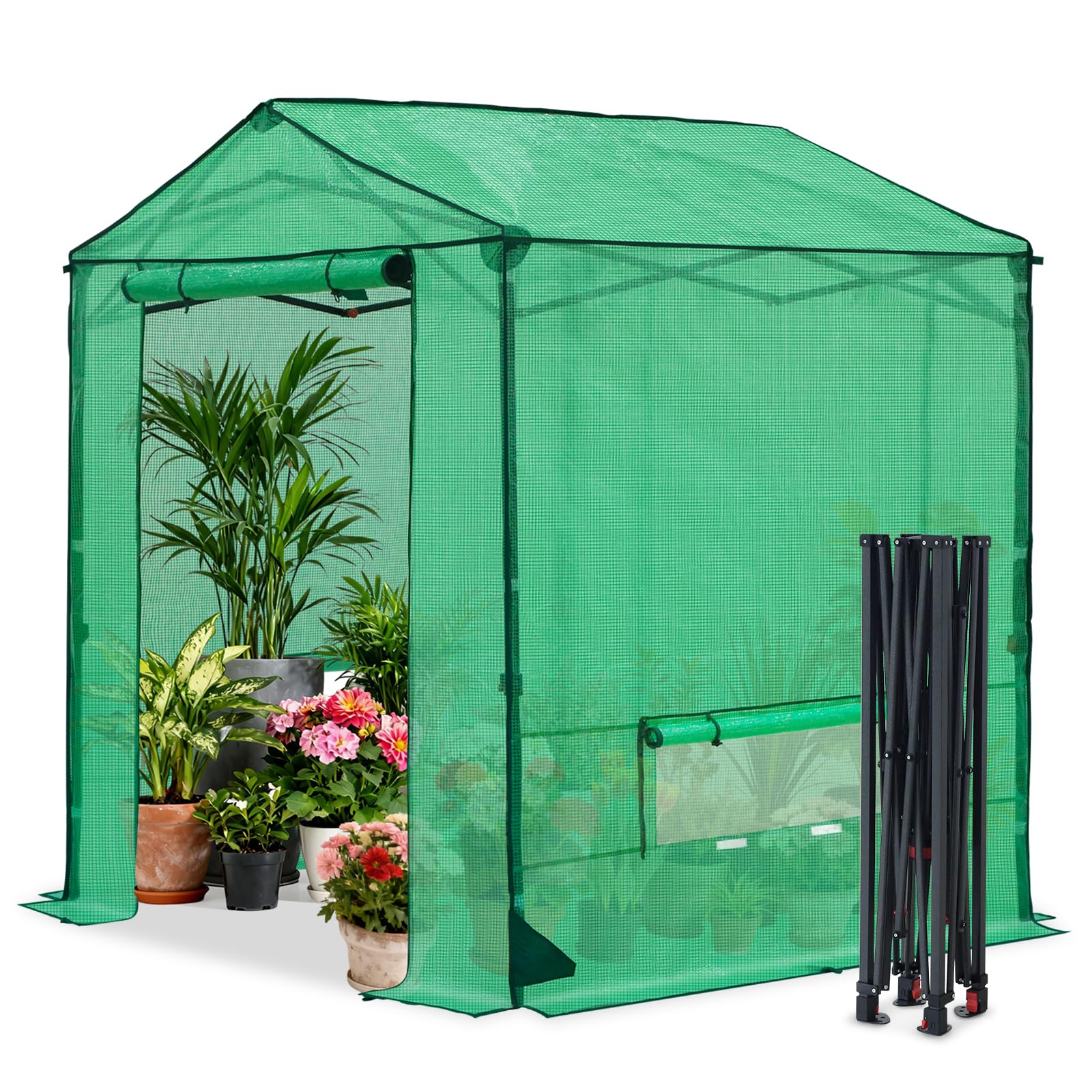COOS BAY 6x6 Pop Up Greenhouse Outdoor, Walk in Garden Greenhouse with Power Access Openings, Zippered Doors & Windows, PE Cover, Green - Image 9
